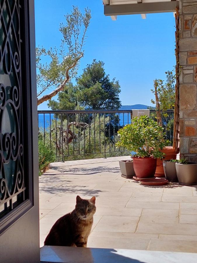 Villa Johell Neos Marmaras Buitenkant foto